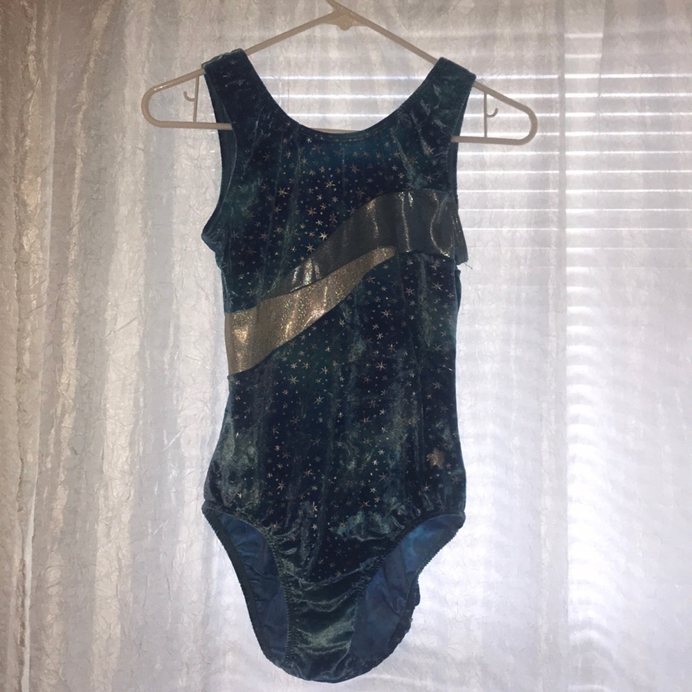 Blue Leotard